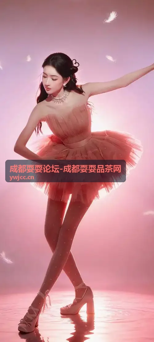 成都耍耍论坛同城茶友线下聚会活动回顾